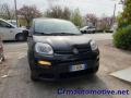 usato FIAT Panda