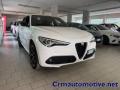 usato ALFA ROMEO Stelvio