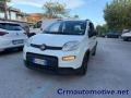 usato FIAT Panda