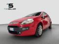 usato FIAT Punto Evo