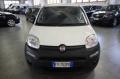 usato FIAT Panda