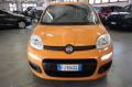usato FIAT Panda