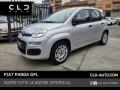 usato FIAT Panda