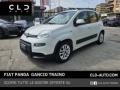 usato FIAT Panda