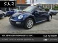 usato VOLKSWAGEN New Beetle