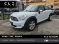 usato MINI Countryman