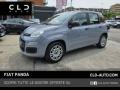 usato FIAT Panda