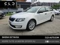usato SKODA Octavia