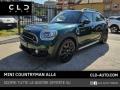 usato MINI Countryman