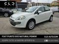 usato FIAT Punto Evo