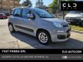 usato FIAT Panda