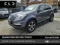 usato SSANGYONG REXTON