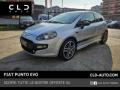 usato FIAT Punto Evo