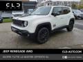 usato JEEP Renegade