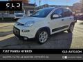 usato FIAT Panda