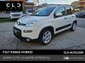 usato FIAT Panda