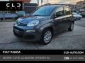 usato FIAT Panda