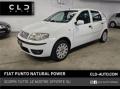 usato FIAT Punto