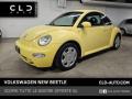 usato VOLKSWAGEN New Beetle