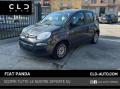 usato FIAT Panda