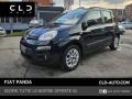usato FIAT Panda