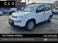 usato FIAT Panda