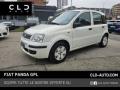 usato FIAT Panda