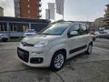 usato FIAT Panda