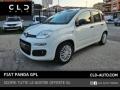 usato FIAT Panda