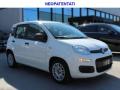 usato FIAT Panda