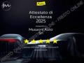 usato FIAT 500X