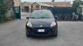 usato FIAT Punto