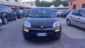 usato FIAT Panda