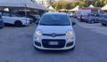 usato FIAT Panda