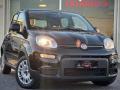 usato FIAT Panda