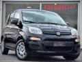 usato FIAT Panda