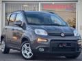 usato FIAT Panda