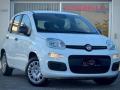 usato FIAT Panda