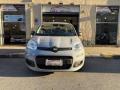 usato FIAT Panda
