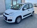 usato FIAT Panda