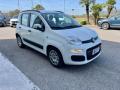 usato FIAT Panda