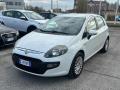 usato FIAT Punto Evo