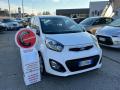 usato KIA Picanto