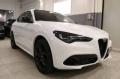 usato ALFA ROMEO Stelvio