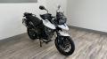 usato Triumph Tiger 800