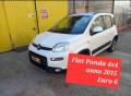 usato FIAT Panda
