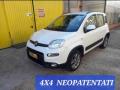 usato FIAT Panda