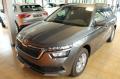 usato SKODA Kamiq