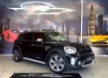 usato MINI Countryman
