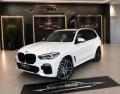 usato BMW X5